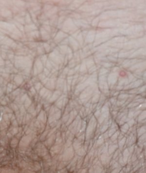 DSC_4047.JPG