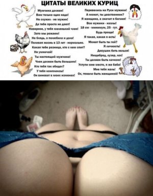 цитаты-курица-у&#1.jpg