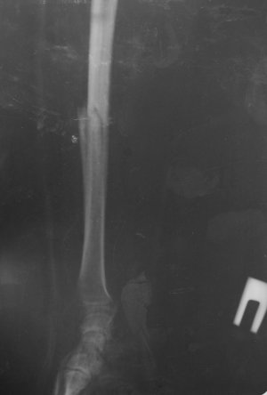 08.01.2014-2.jpg