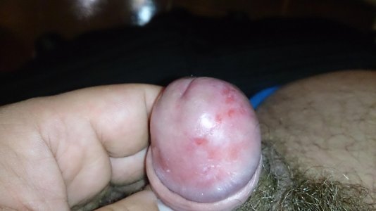 DSC_0152.jpg