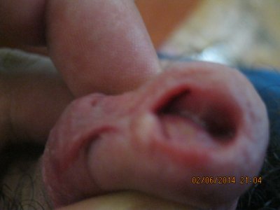 IMG_0523.JPG