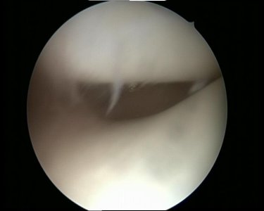 Snapshot_010.jpg