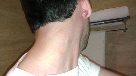 IMAG0870.jpg