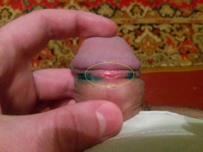 CAM00110.jpg