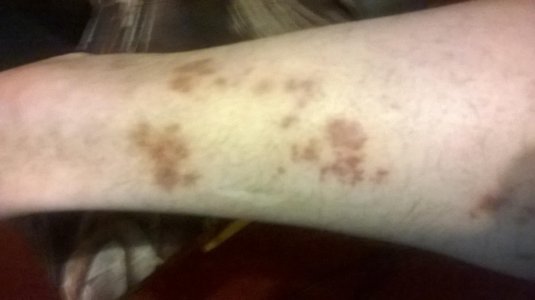 WP_20150512_009.jpg