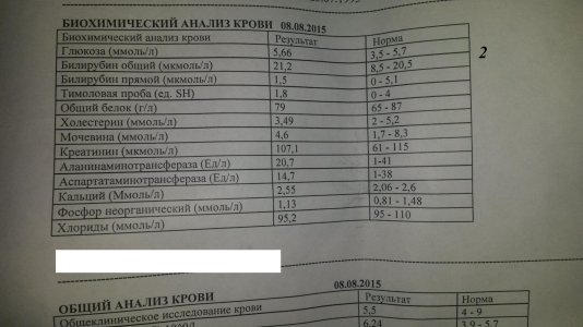 20150808_214146.jpg
