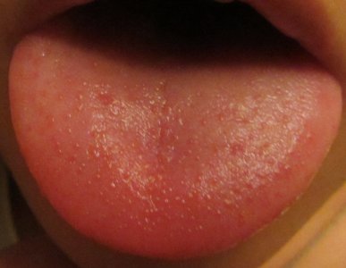 IMG_4.jpg