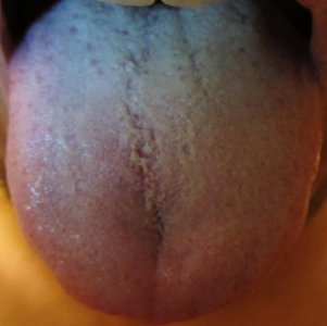 IMG_3.jpg