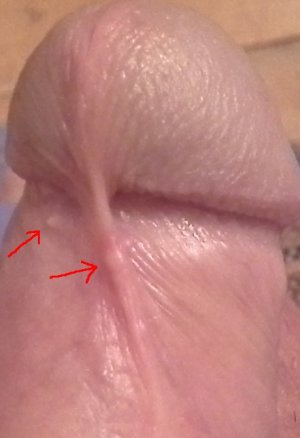 20160927_034357.jpg