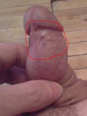 20161002_134556.jpg