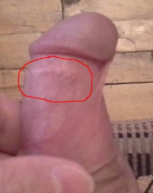 20161002_134719.jpg