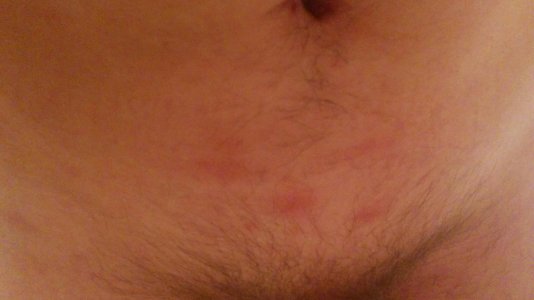 IMG_20170111_164604.jpg