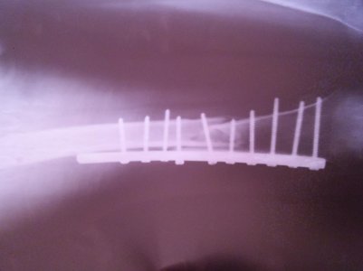 20170122_125102.jpg