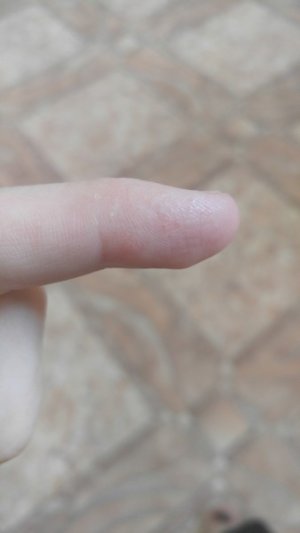 22.jpg 22.jpg