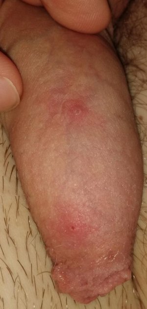 IMG_20171026_012742.jpg