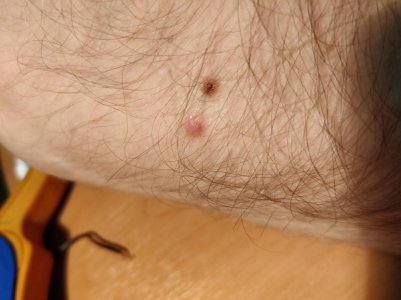 IMG_20171107_154931 - Copy.jpg