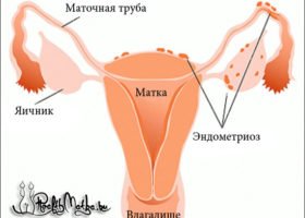 Без названия (2).jpg
