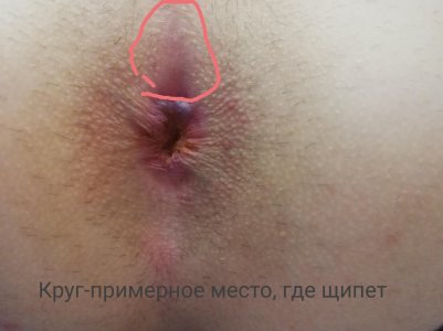 1111.jpg