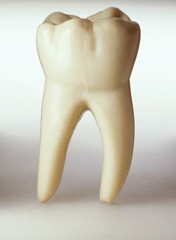 teeth.jpg