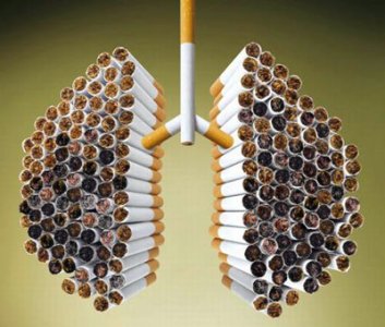 smoking-cigarette_18.jpg