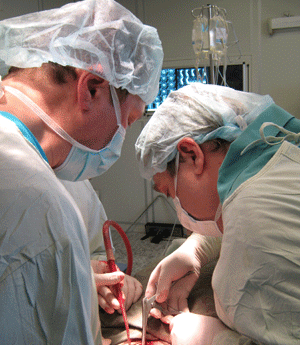 clincvirc.gif