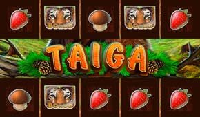 Taiga.jpg Taiga.jpg