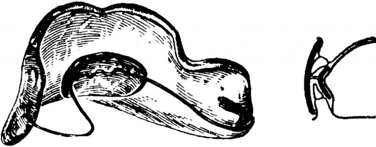 img-et1y_Z.jpg