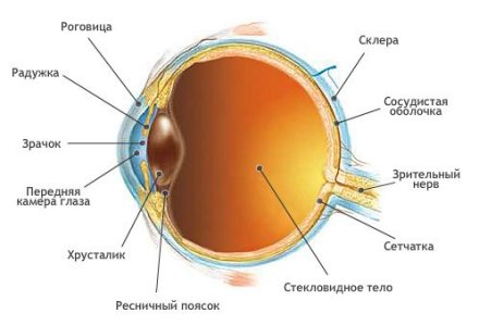 Дистрофия сетчатки глаза.jpg