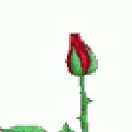 Вечный цветок