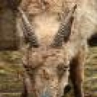 рожки да ножки