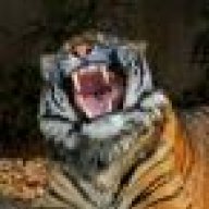 МилашкаСоня