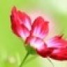 nedug101501