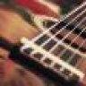 nedug113491