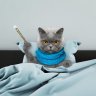 Токсик