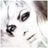 elvira_live