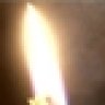 nedug56846