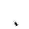 nedug65097