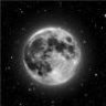 nedug66538