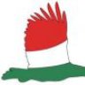 nedug99386