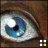 nedug122744