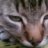 Tanya_ICE_Blond@ok.ru