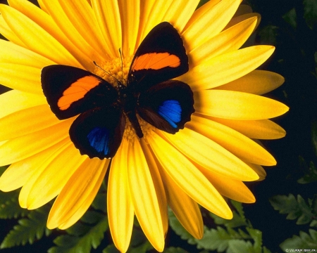 57120254_135797.jpg