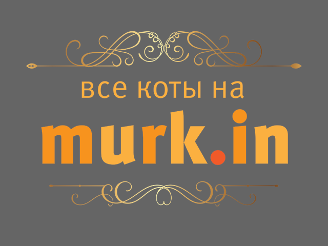 09217-mryjt-cats.firefun.ru.jpg