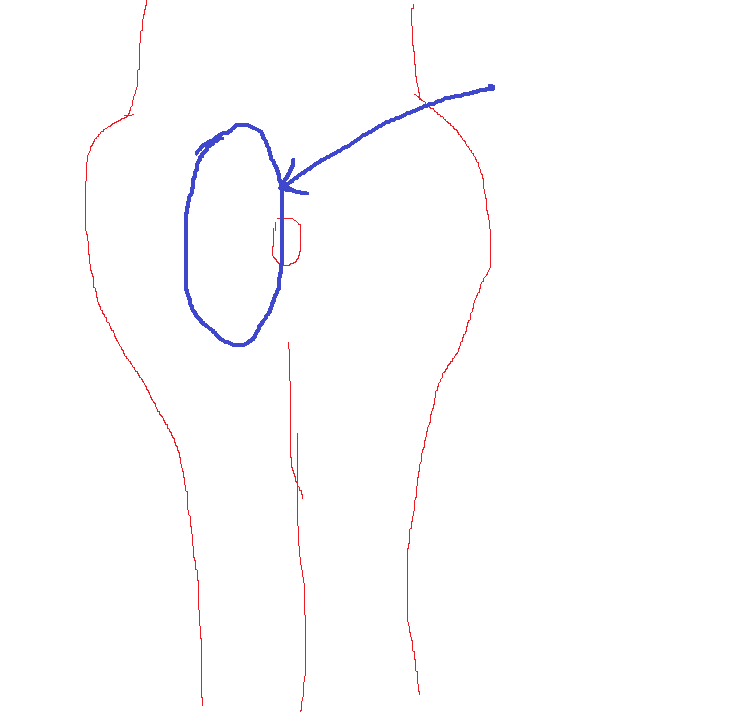 6f5d43b1033a617170d706d8167529a0.png