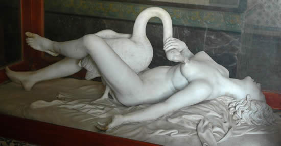 swan10.jpg