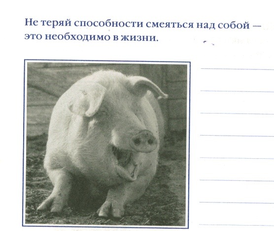 _3.jpg