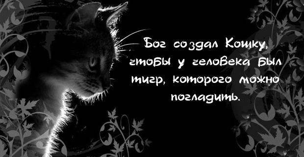 Stixi_koteiko.ru_11.jpg