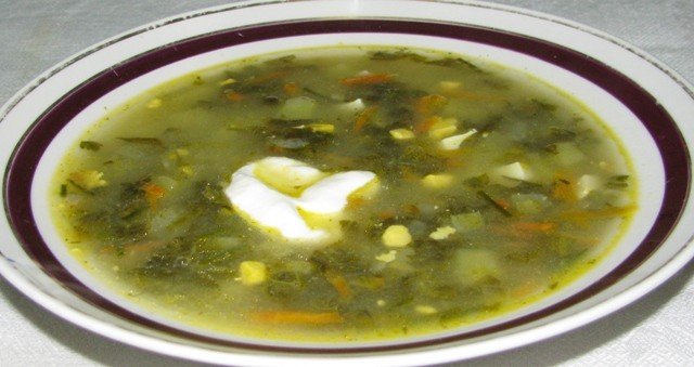 1366886026_vesenniy-sup-so-schavelem.jpg