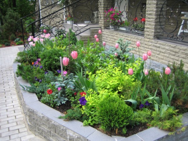 photo_1639_full.jpg