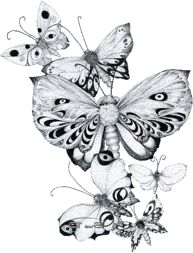 13.gif